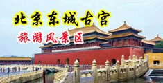 马大鸡巴美女的小骚逼里视频网站动漫声音中国北京-东城古宫旅游风景区